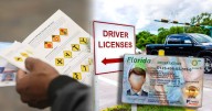 Se confirma la mejor noticia: estos inmigrantes en el sur de Florida deben apresurarse a extender sus licencias de conducir