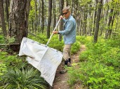Migrating ticks raise disease risks if they can’t be quickly tracked