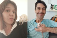 Mascotas peculiares. Adoptaron tres ratas rescatadas de laboratorios y cuentan cómo es vivir con ellas: “Son seres sociales”
