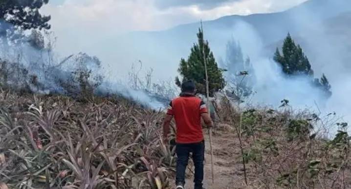 Pasco: Incendio forestal causa la muerte de un adulto mayor y arrasa con pastizales