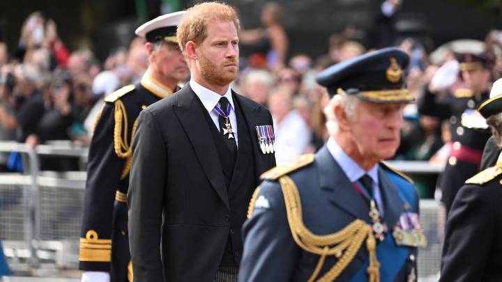 Are King Charles and Prince Harry Working Toward a Joint Public Appearance?
