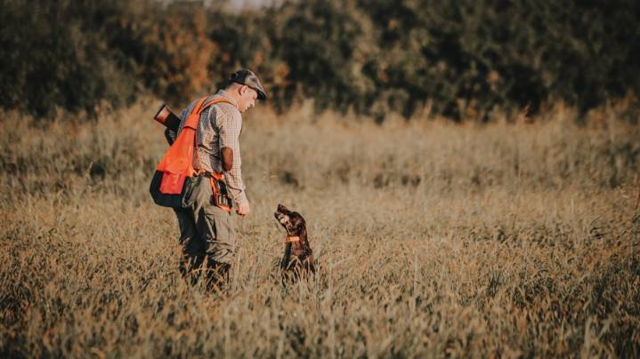 California quail and chukar hunting season opens with high expectations