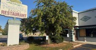 Deer jumps through window at Janesville restaurant
