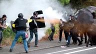 Online radicalization fuels wave of left-wing violence in America
