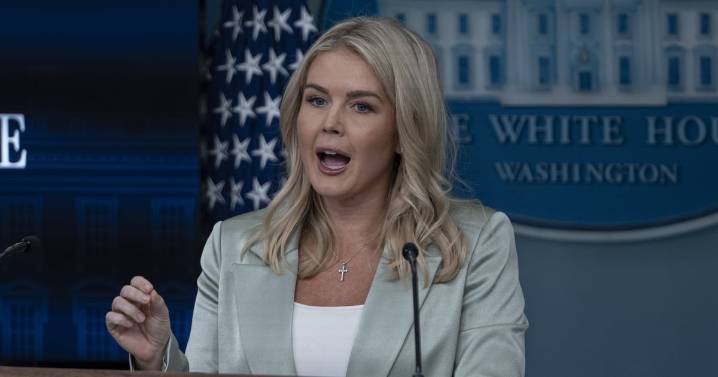 Karoline Leavitt Leaves Reporters Puzzled With Her Defense of Trump’s Domestic Violence Comment
