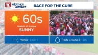 Warm and sunny weather continuing into workweek