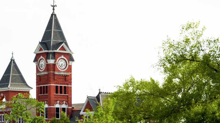 Auburn employees fired over social posts, says university president