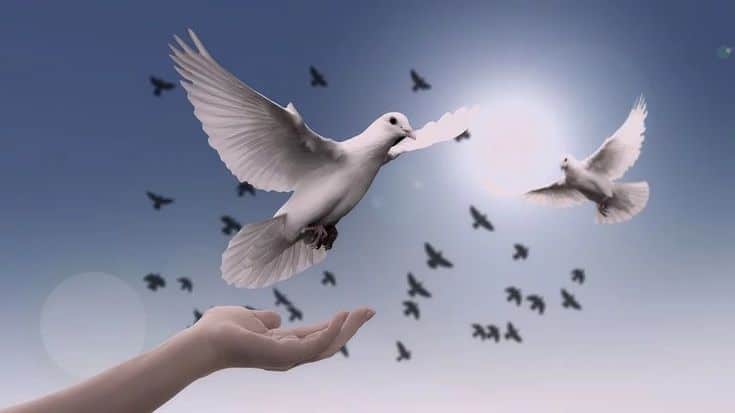 Hoy se celebra el Día Internacional de la Paz