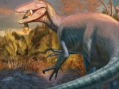 Descubrieron en Chubut los fósiles de un dinosaurio carnívoro que habría sido de los últimos en extinguirse