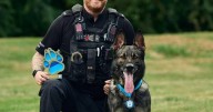Police K-9 saves handler from shovel