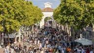 Son gratis por la Feria de Albacete y harán las delicias de miles de personas