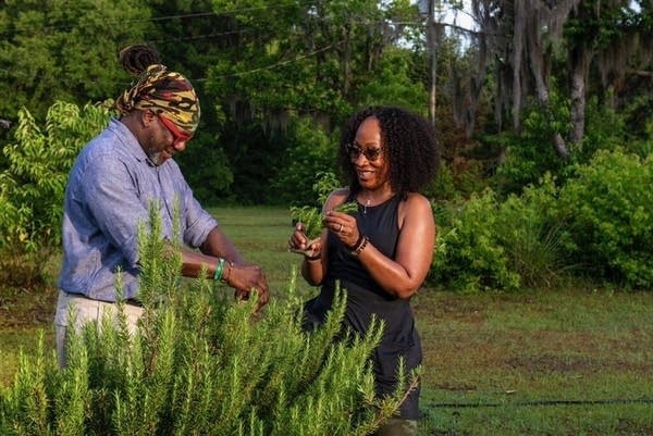 Twin Cities dinner series explores culinary origins