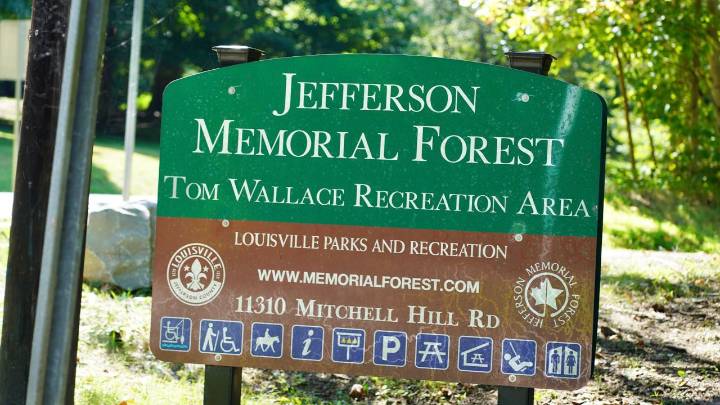 Reimagining Jefferson Memorial Forest: Metro Parks seeks community input