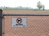 Blackfalds reminds residents: no dogs on sports fields