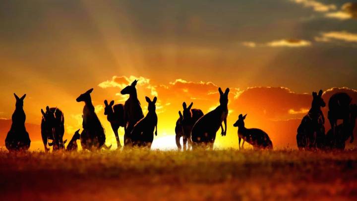 Australia Cracks Down: Crypto Exchanges Face Tough New Rules