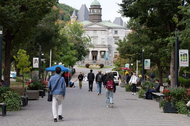 Where the boys aren’t: What is lost when fewer men go to university?