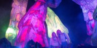 GLEAM exhibit enters year 10 at Olbrich Botanical Gardens