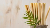 El truco del palito de madera: el secreto para que tus plantas no se mueran por exceso de riego