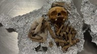 Traveler found with skull and other human remains at Tampa airport