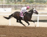 Local Horse Steals The Show With A Record-breaking Win in Rock Springs
