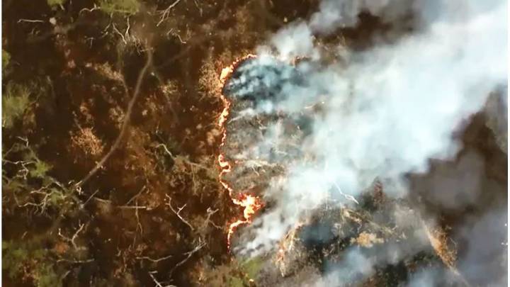 Apicultores apelaron la condena por el incendio en las islas del Delta