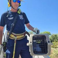Albuquerque firefighter saves pigeon at Tingley Beach