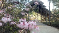 HGTV names Crosby Arboretum the most beautiful garden in Mississippi