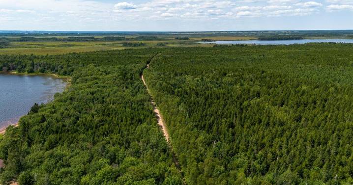 N.S. minister unable to provide a timeline for Chignecto Isthmus upgrades