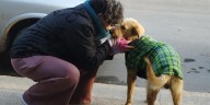 Camas en la vereda: la historia de Vanesa Moreira y su lucha por los perros sin familia