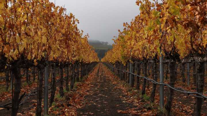 Is today the first day of fall? More on autumnal equinox, time change