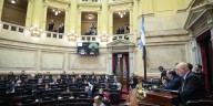 El Gobierno se resigna a una derrota en el Senado y no negociará para frenar la emergencia en discapacidad