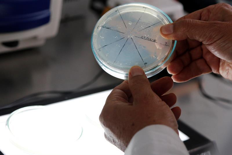 Aumentan en Estados Unidos las infecciones por bacterias resistentes a los antibióticos
