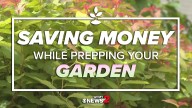 Smart & simple ways to save money while prepping your garden