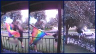 Thieves rip Pride flag from Orlando homeowner's porch