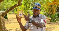 Agriculture threats at Australia's border with PNG