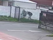 Buscan a sujeto que persigue a escolares para tocar sus prendas íntimas en Chiguayante