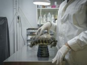 'ROASTED ALIVE': Greek wildlife suffers as climate changes