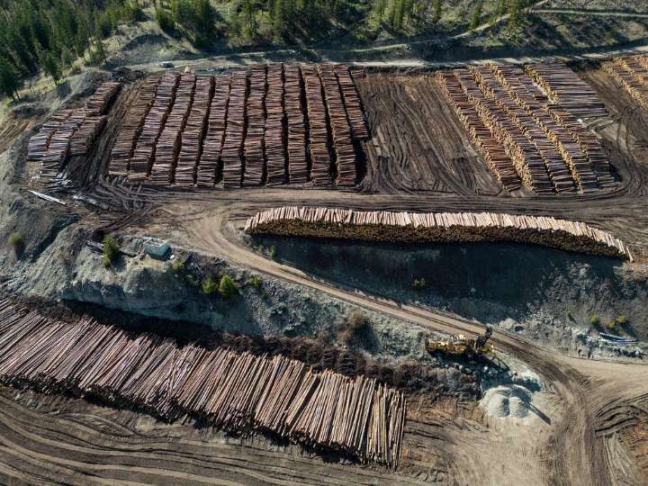 Donald Trump hits Canadian lumber producers with extra 10 per cent tariff