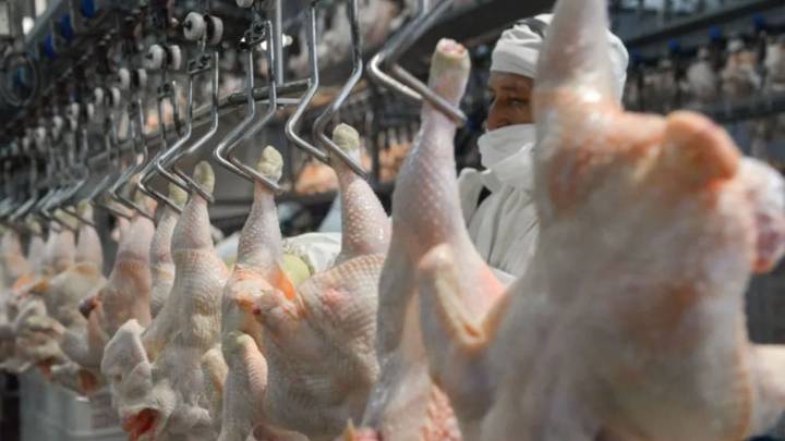 El Gobierno aclaró que las retenciones cero siguen para la exportación de carnes