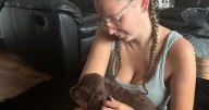 XL bullies kill puppy and injure teen in brutal 'mauling' attack