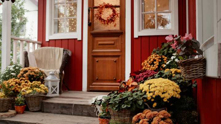 The Spooky Petunia Variety To Plant In Late Summer For Halloween Blooms