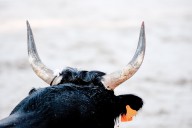 Fed Chair Choice May Be Bitcoin’s Biggest Bull Trigger, CEO Says