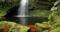 Negociarán oferta de turismo de naturaleza y bienestar de Colombia