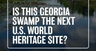 Could Okefenokee Swamp become the next UNESCO World Heritage Site?