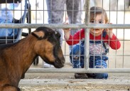 Free fun things to do in Southern California in October