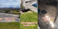Descubren “apartamento” oculto bajo un puente en el centro de Bogotá, el video causa sorpresa en redes sociales