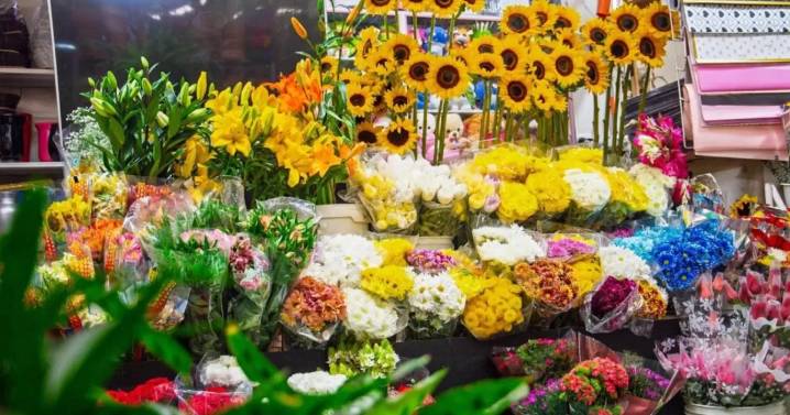 ¿Qué flores regalar para Amor y Amistad? Estas son las ideales y cuál es el significado de cada una