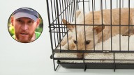 Alan Peiró, adiestrador canino: “Si la usás como castigo, la jaula se convierte en una prisión emocional”