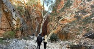 Discover Australia's red centre through 'Kangaroo'