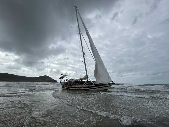 Appeal for information, Cape Bedford (Far North)
